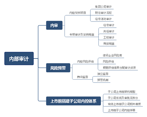 20210831 走进内审部-《浦东内审》-微创医疗-6