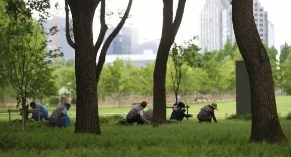 20220529 繁花盛开，静待你来——上海世纪公园为恢复开园做积极准备-2