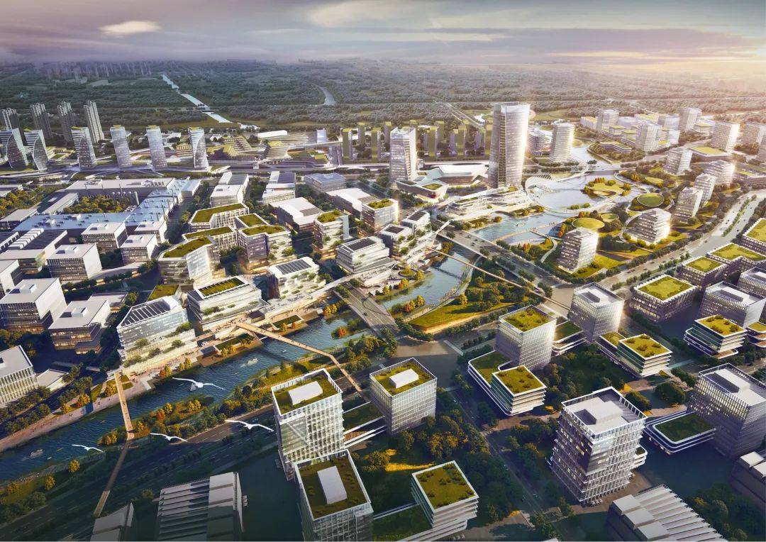 20220611 因水而生，因水立业｜上海金湾城市设计及核心地块概念方案设计评审会顺利召开-7