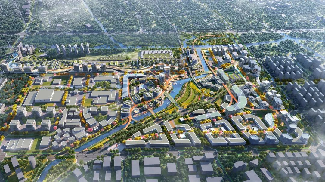 20220611 因水而生，因水立业｜上海金湾城市设计及核心地块概念方案设计评审会顺利召开-15