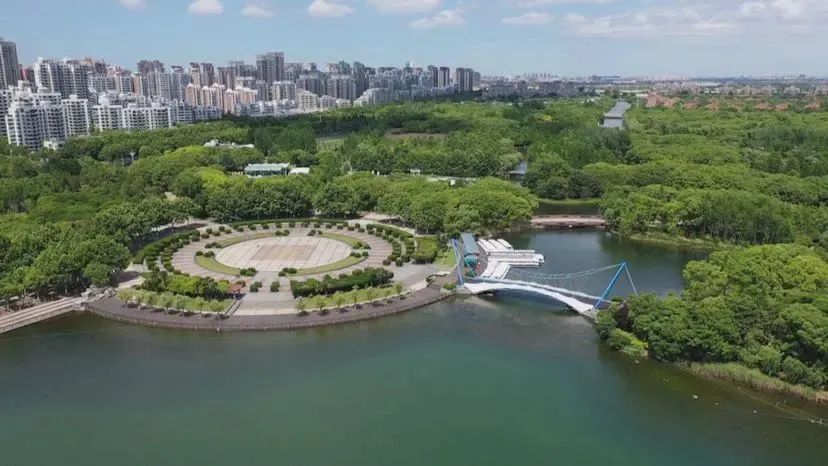 20220825 开窗见绿色、漫步进公园、四季闻花香！浦东积极推动公园城市建设，打造高品质生态引领区-2